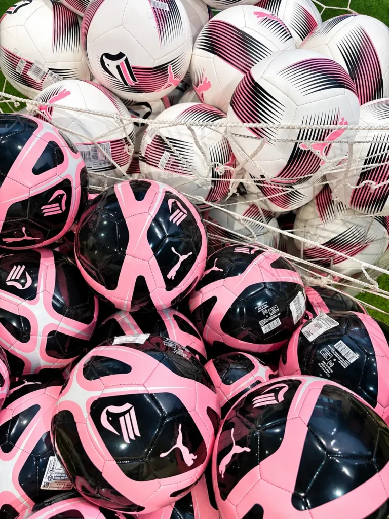 Palermo FC supporters in rosanero colours
